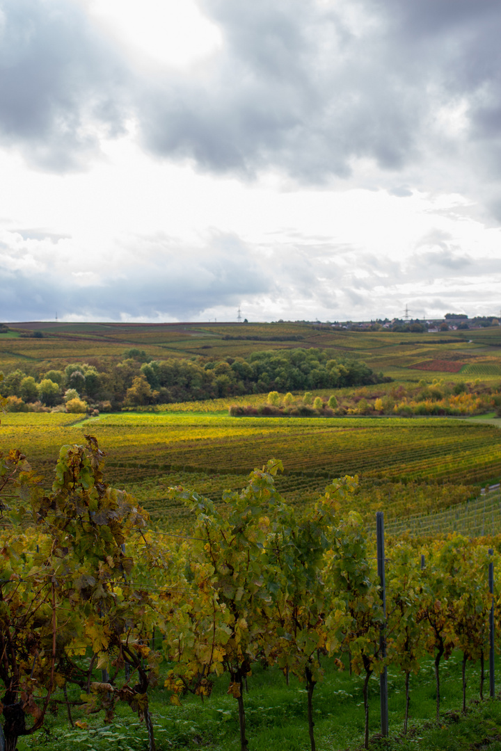 Landschaft 