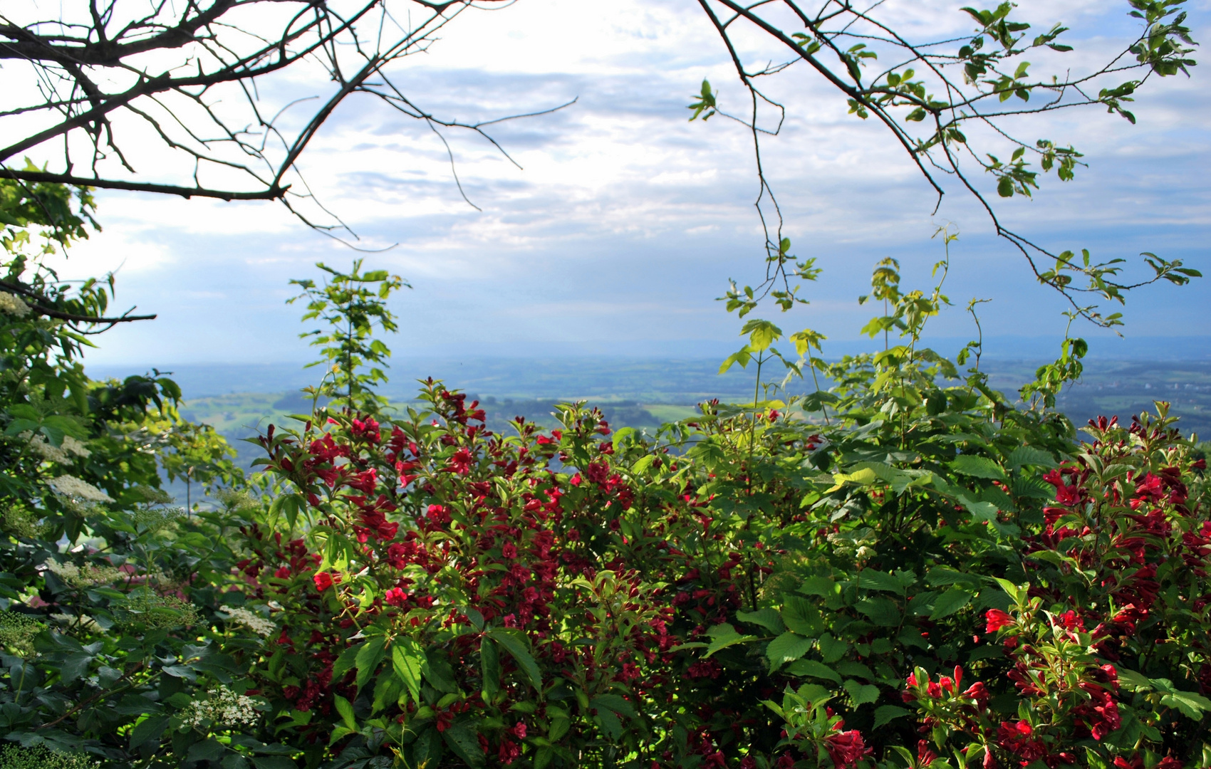 Landschaft