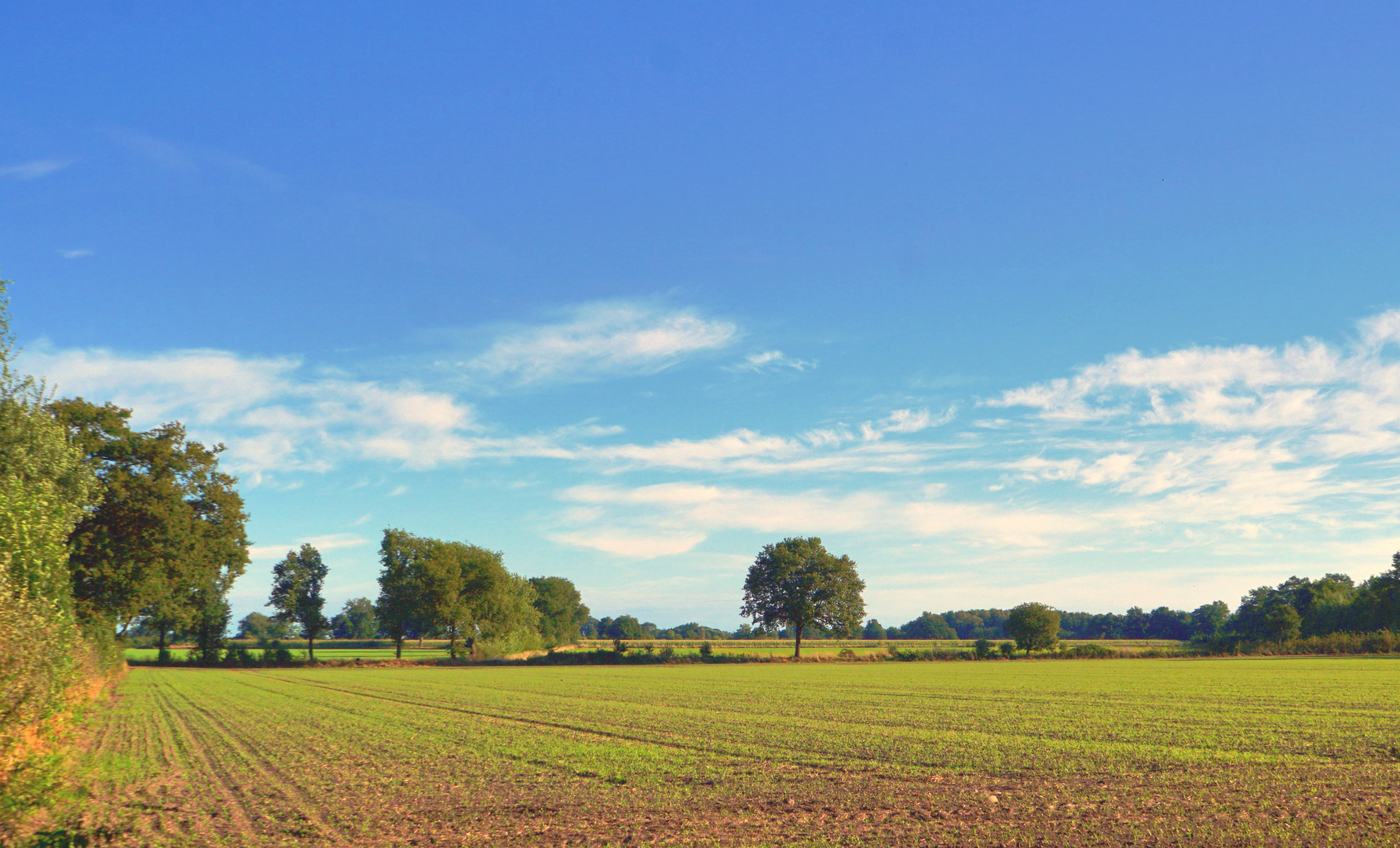 Landschaft