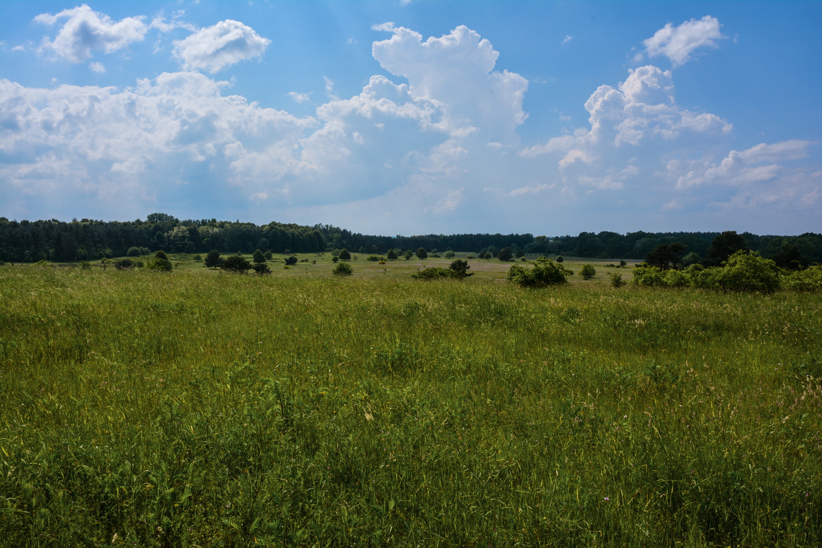 Landschaft