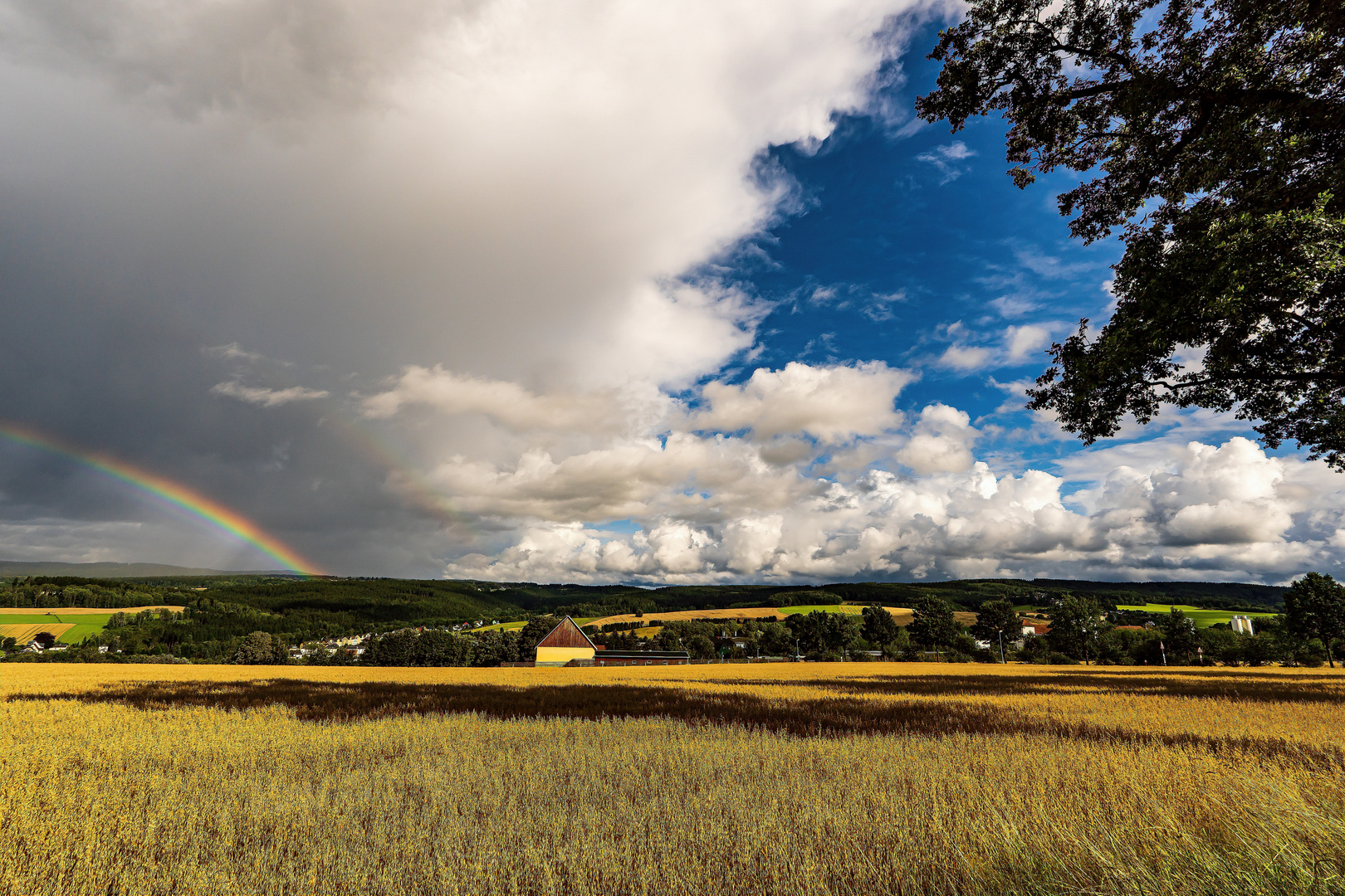 Landschaft