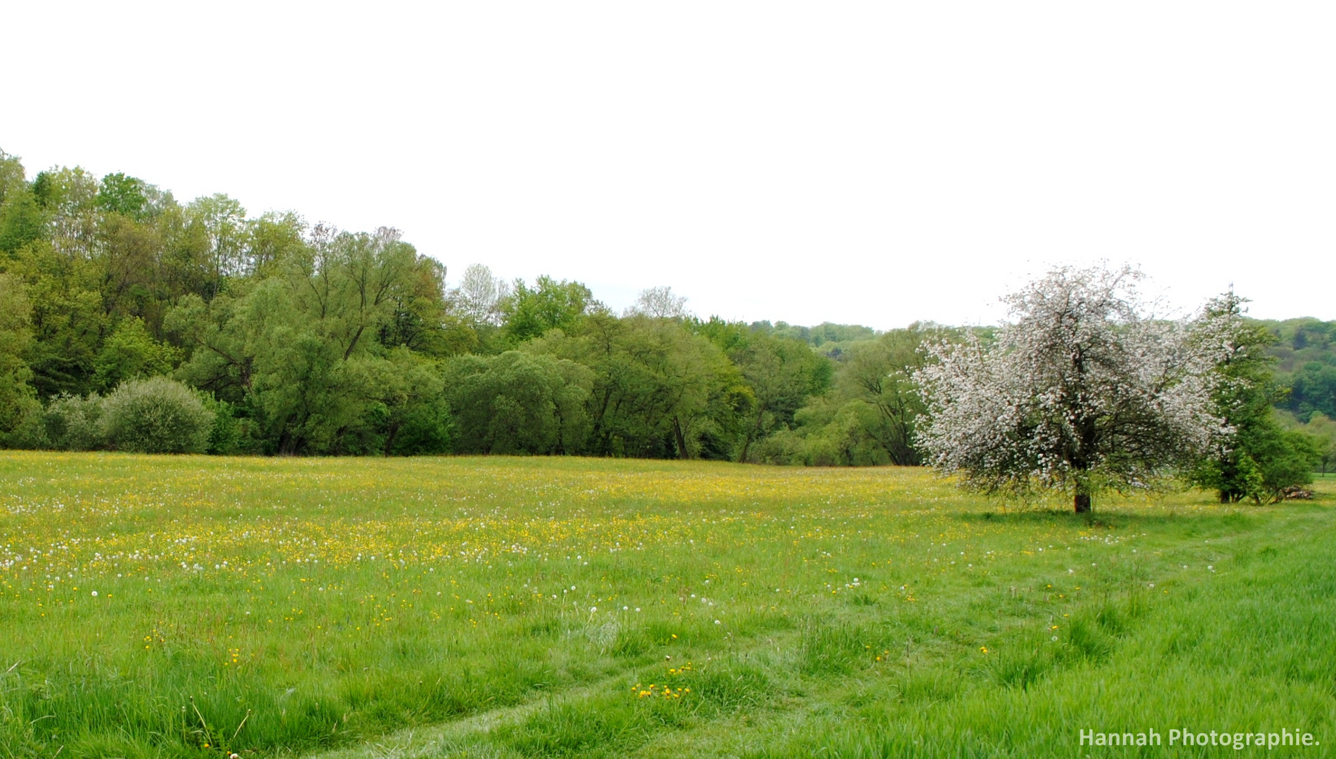 Landschaft.