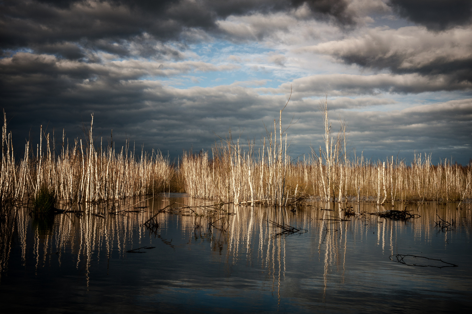 Landschaft...-