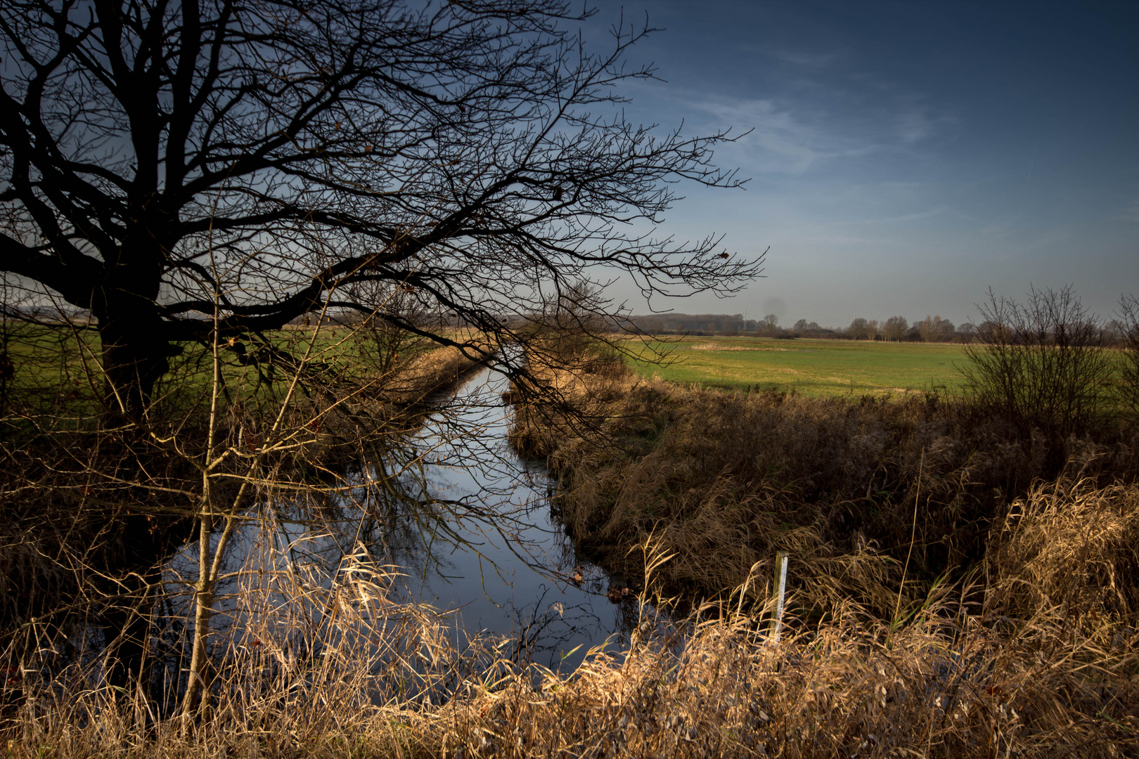 Landschaft