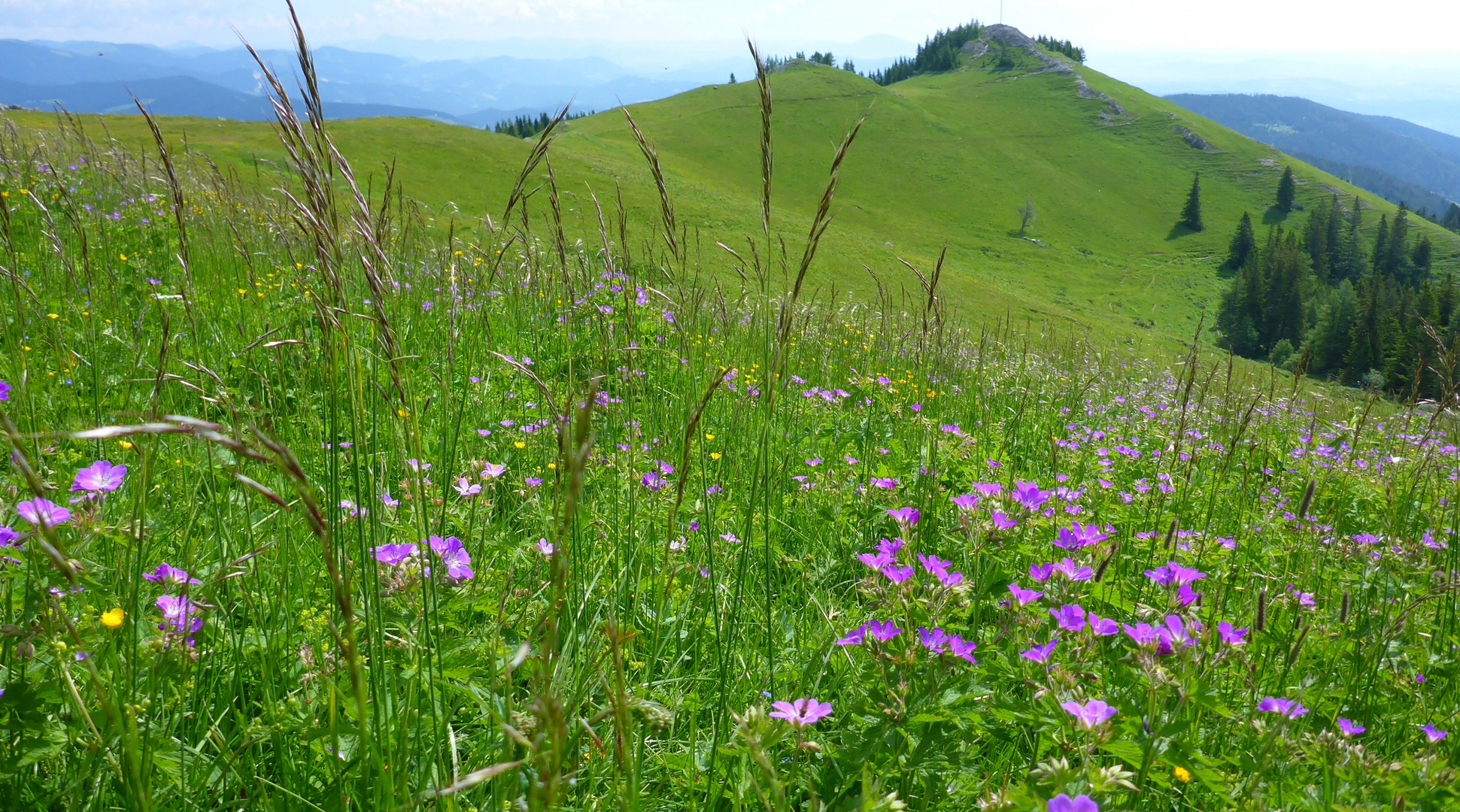 Landschaft