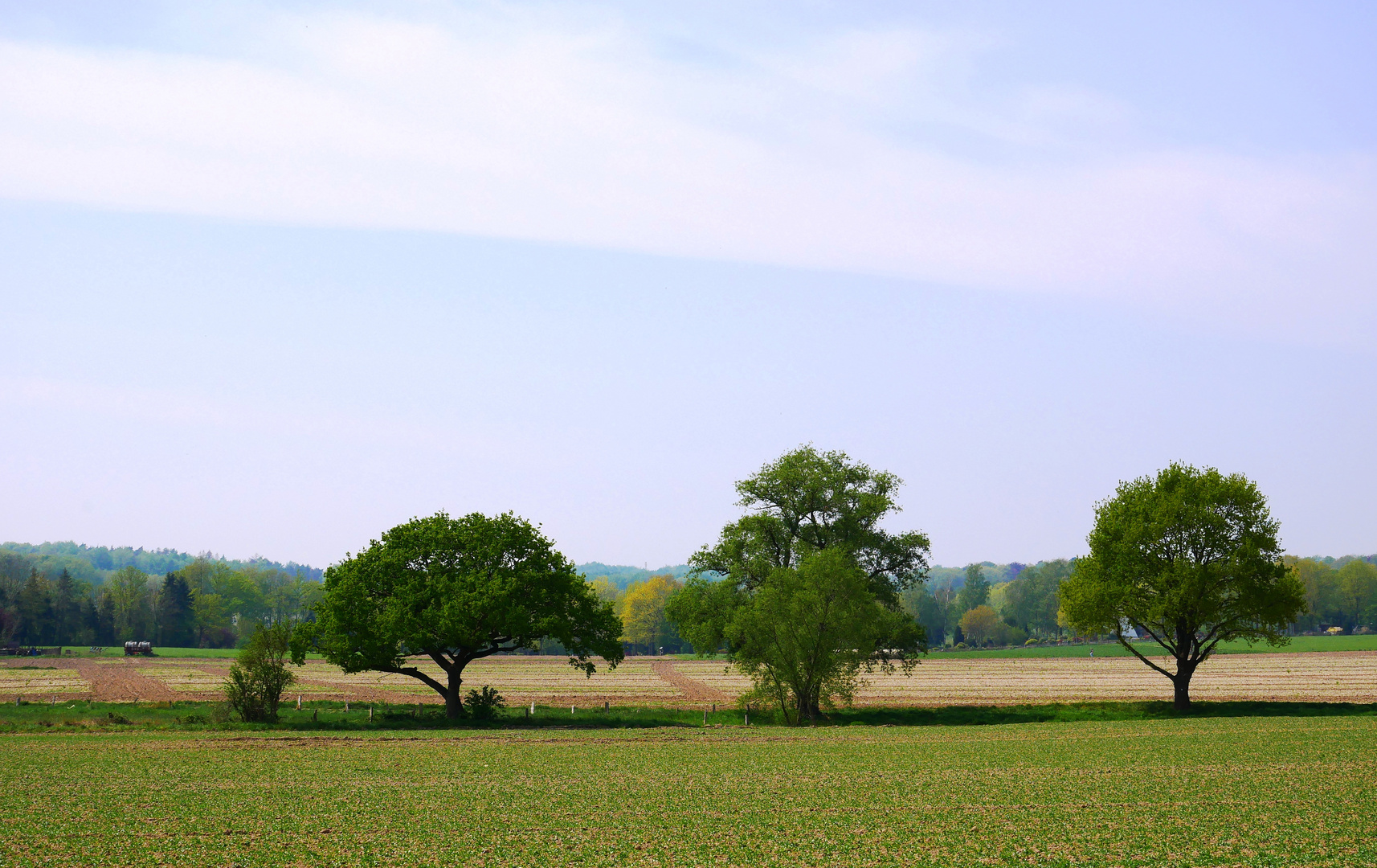 Landschaft