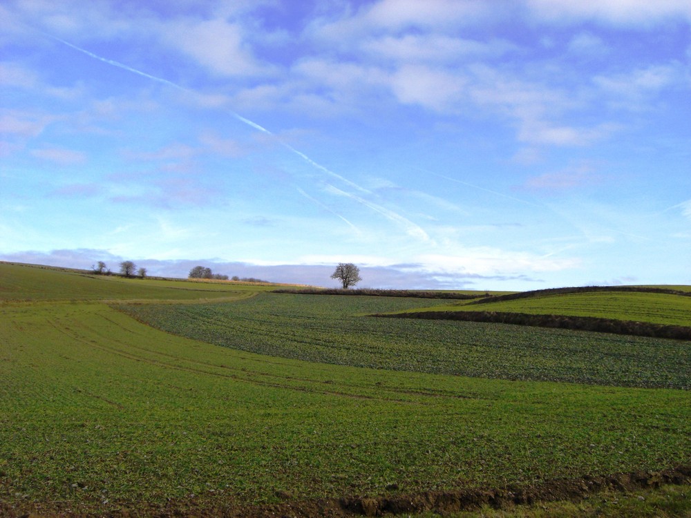 Landschaft