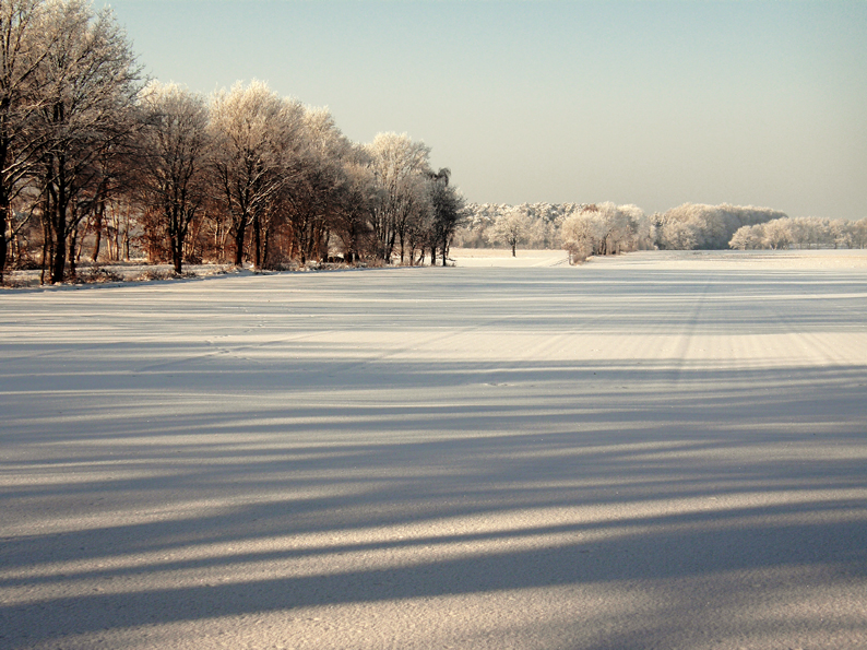 Landschaft