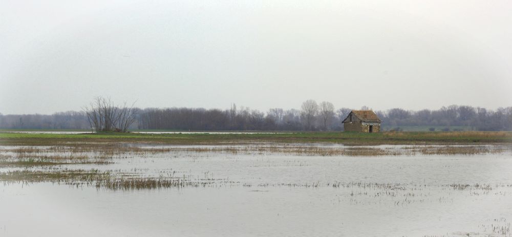 ~ Landschaft ~