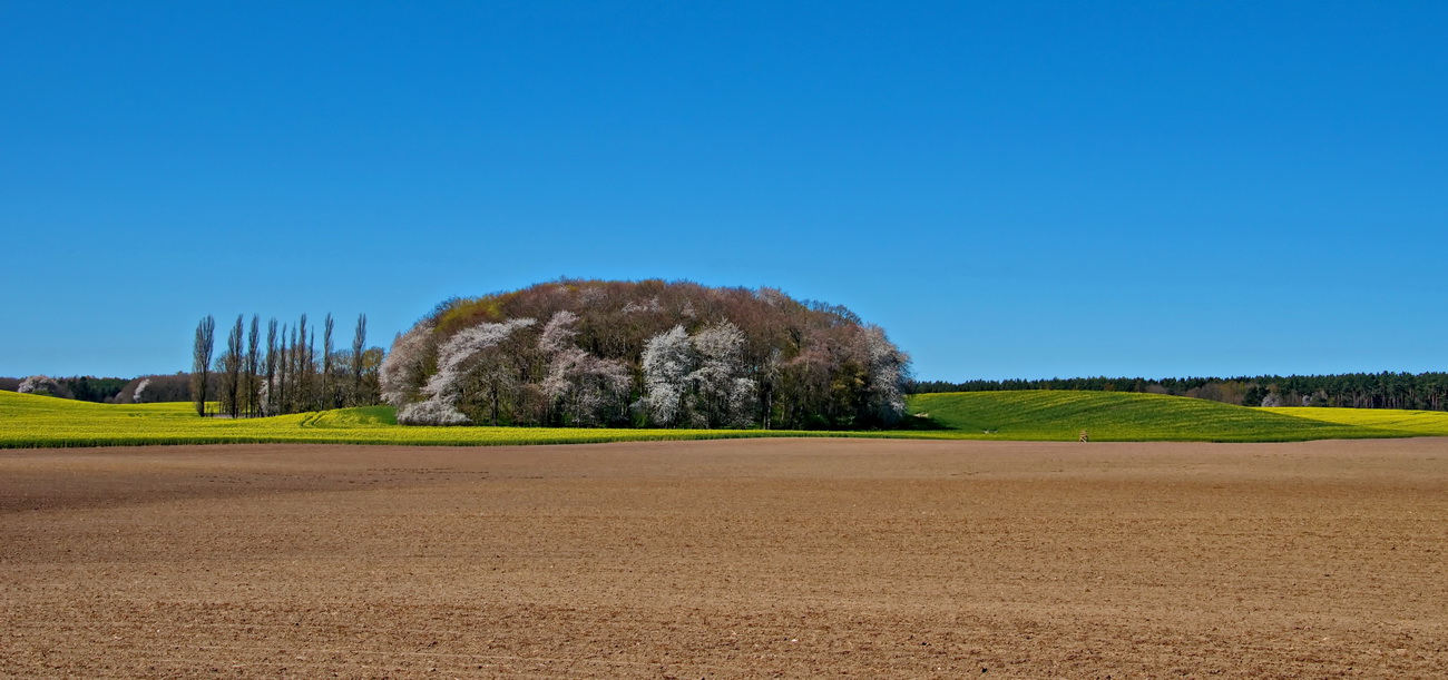 Landschaft