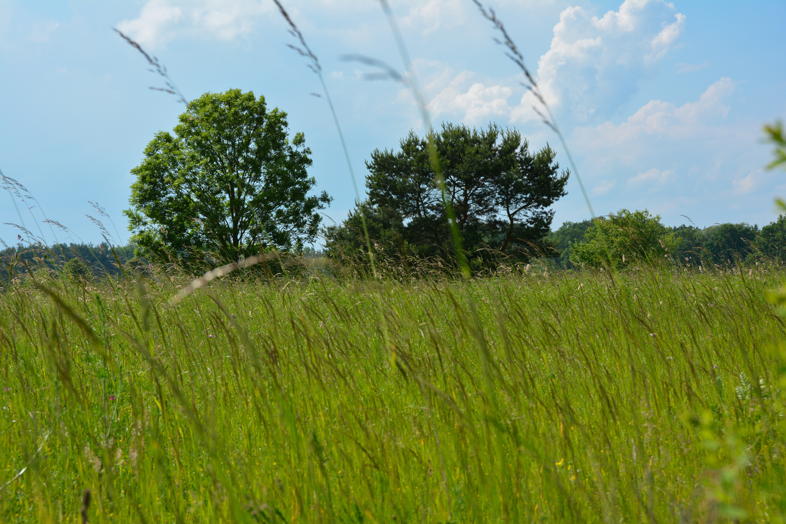 Landschaft