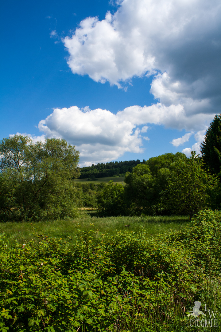 Landschaft