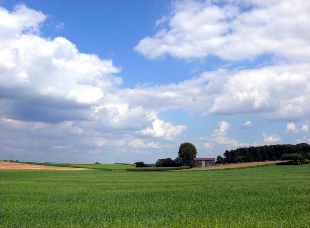 Landschaft