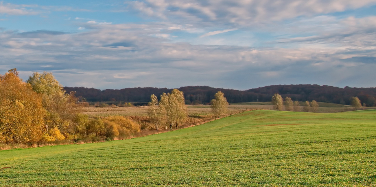 Landschaft