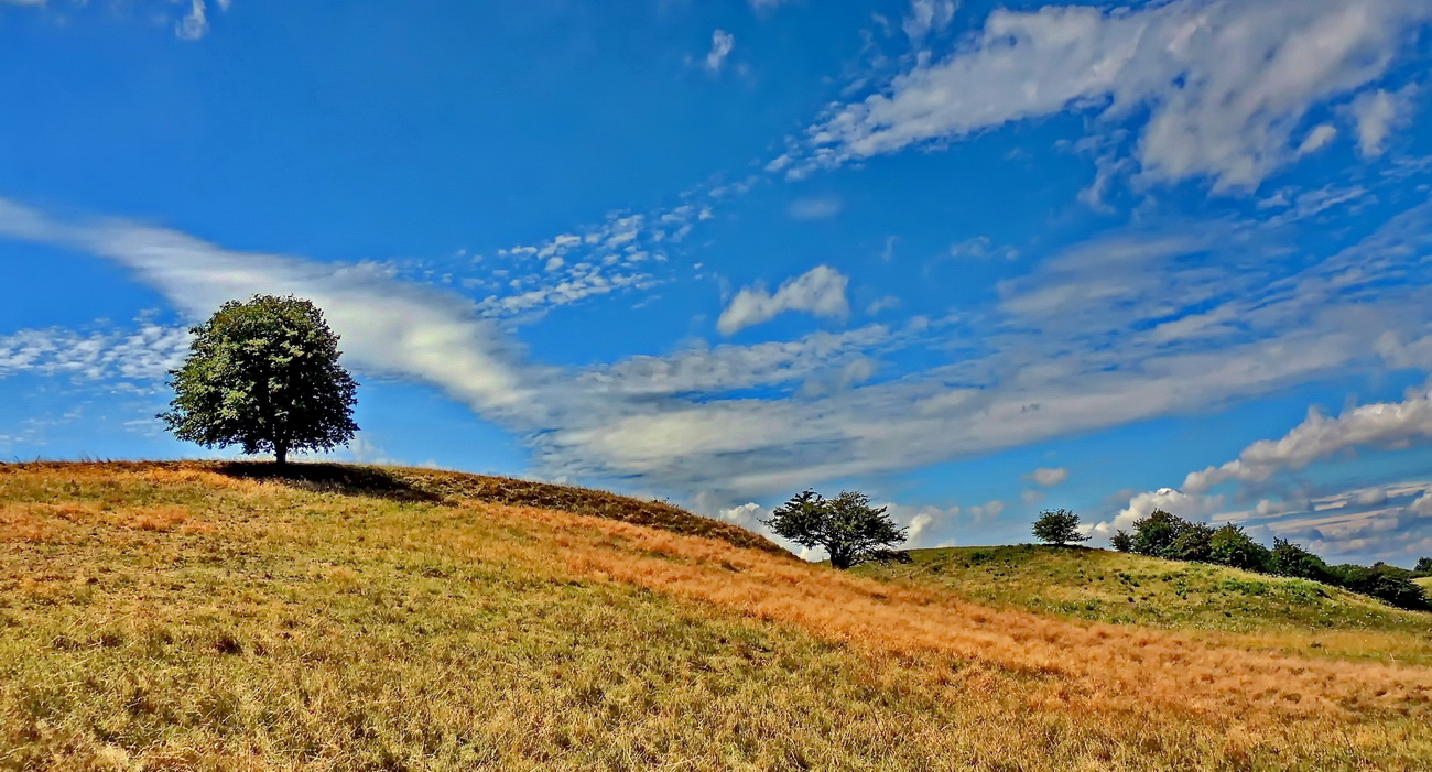 Landschaft