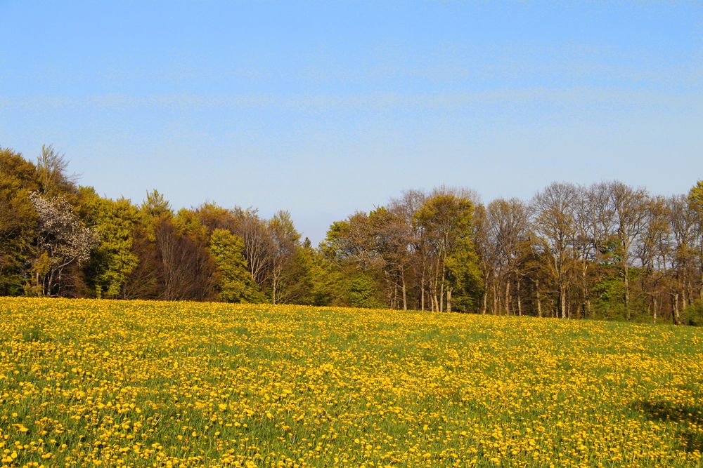 Landschaft