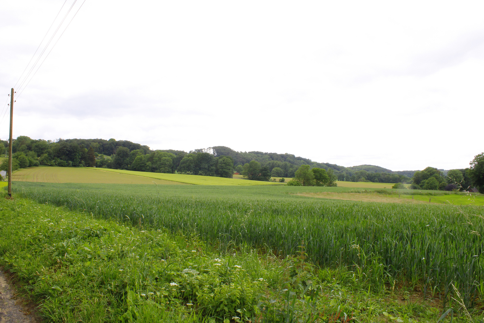 landschaft