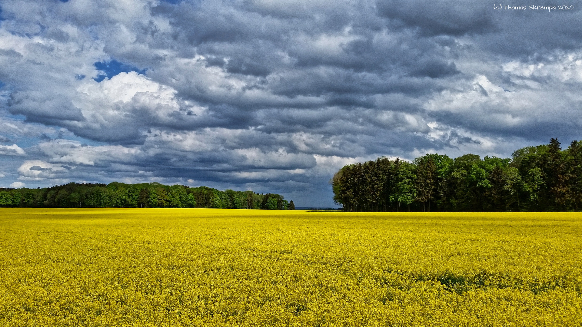 Landschaft 