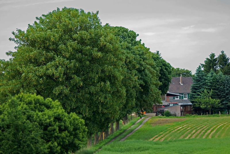 Landschaft