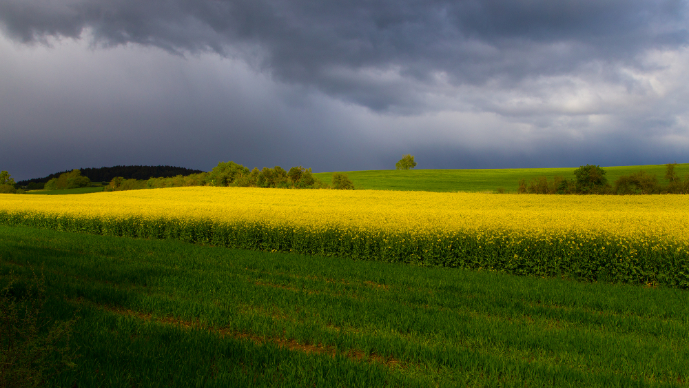 Landschaft