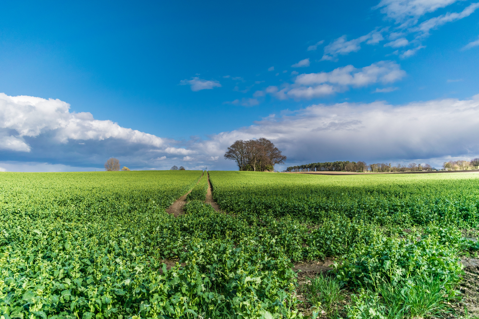 Landschaft A-13417