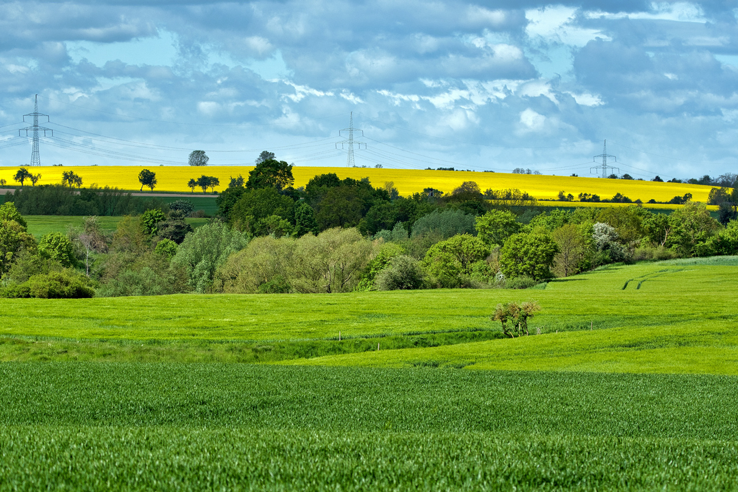 Landschaft