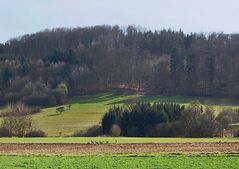 Landschaft:)