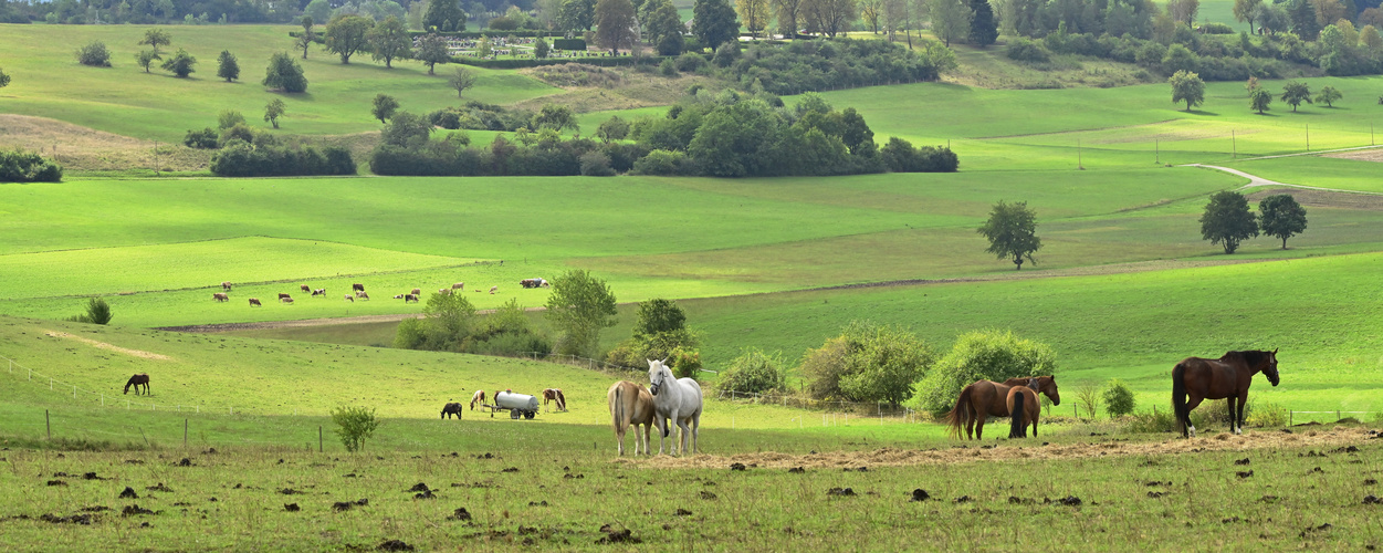 Landschaft