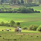 Landschaft