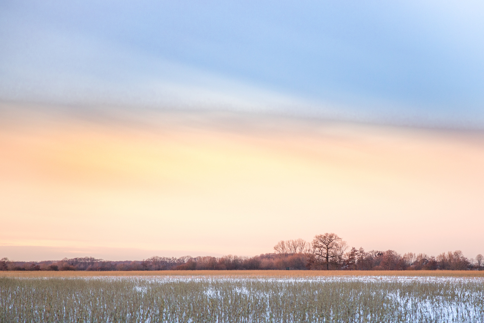 Landschaft.