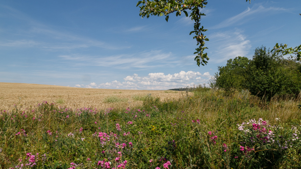 Landschaft