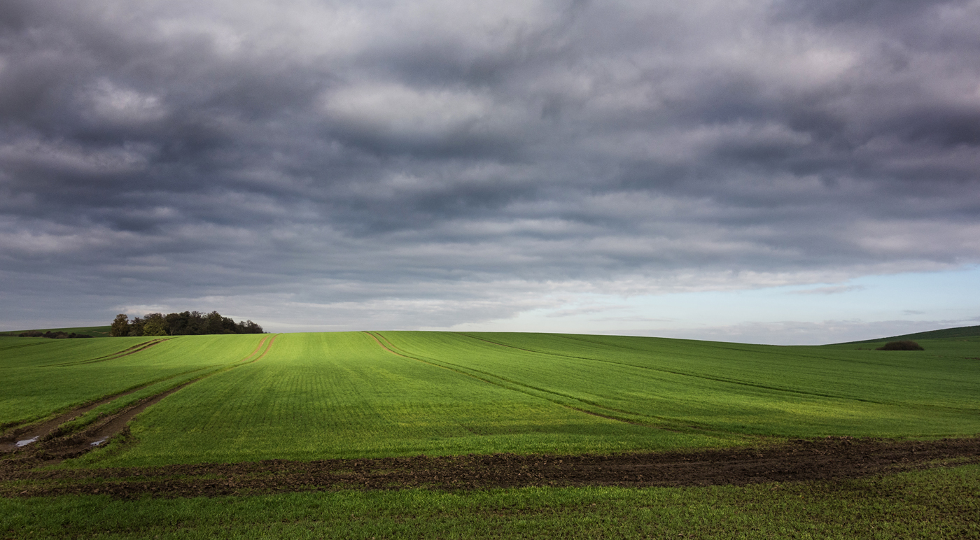 - landschaft acker licht -