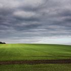 - landschaft acker licht -