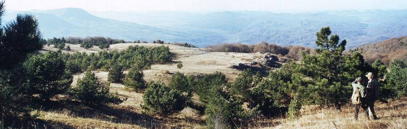 Landschaft - Ai Petri - Krim - Ukraine