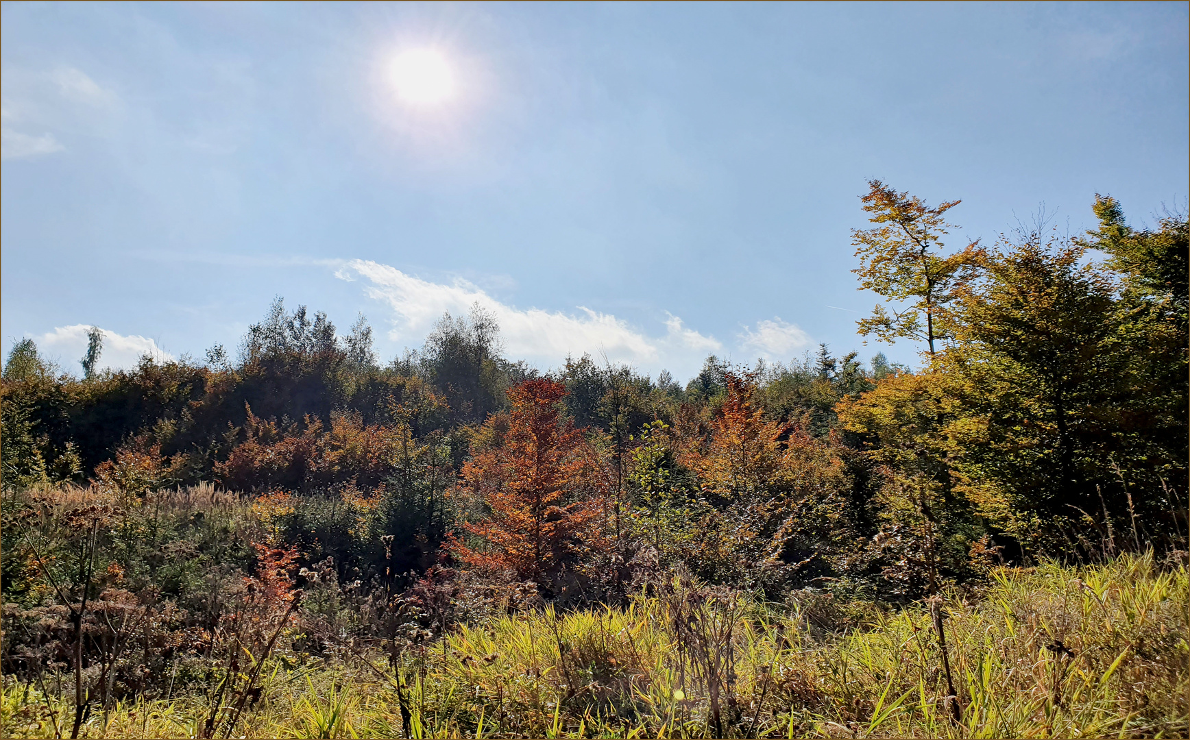 Landschaft  Allgäu II 