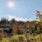 Landschaft  Allgäu II 