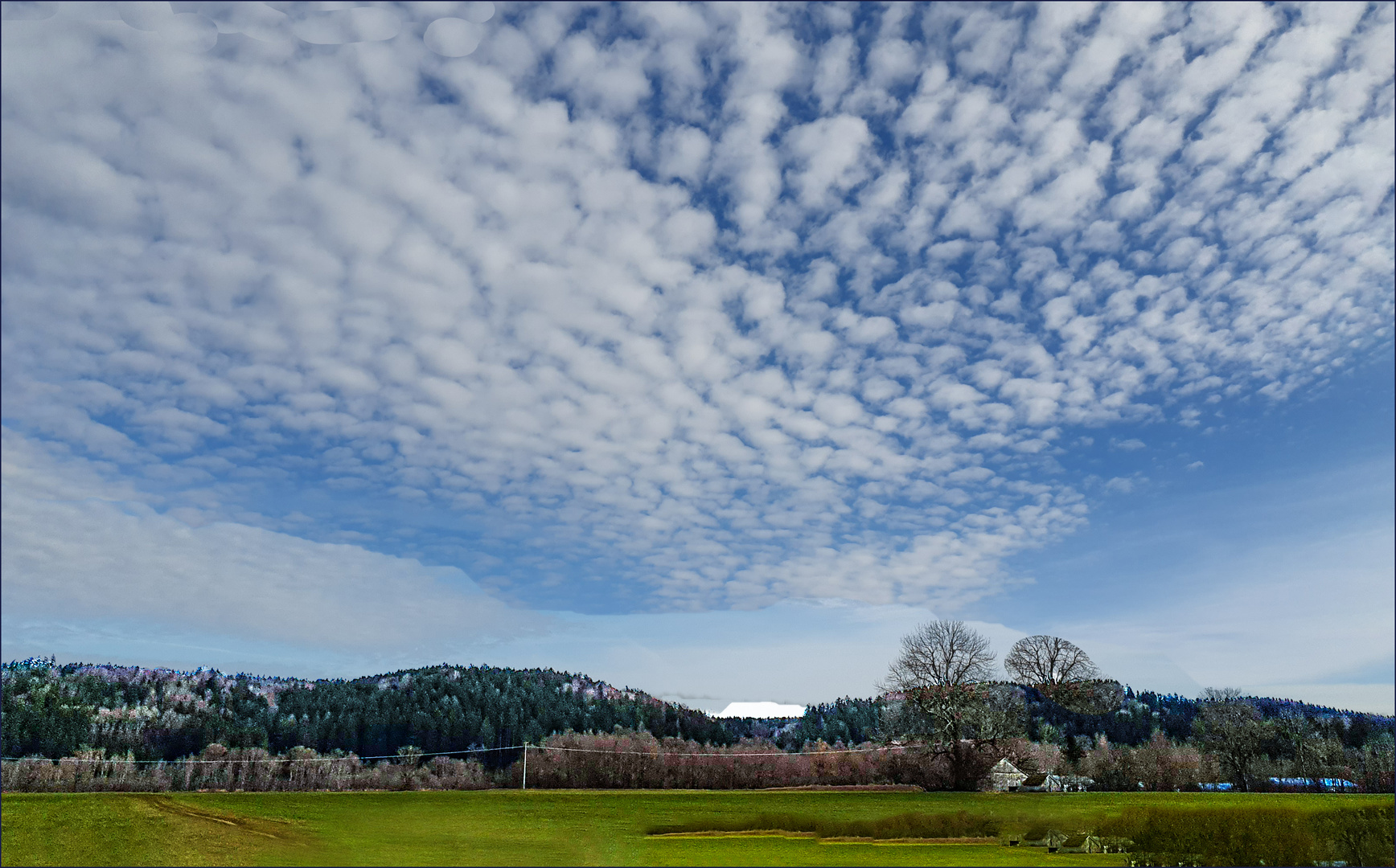 Landschaft Allgäu III