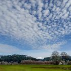 Landschaft Allgäu III