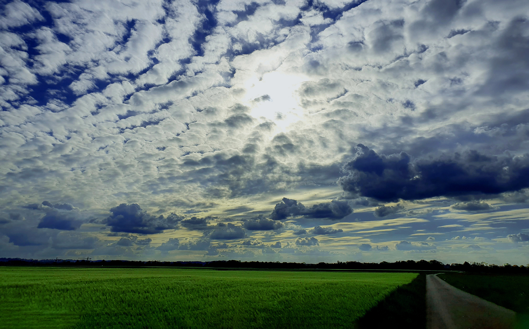  Landschaft Allgäu IV