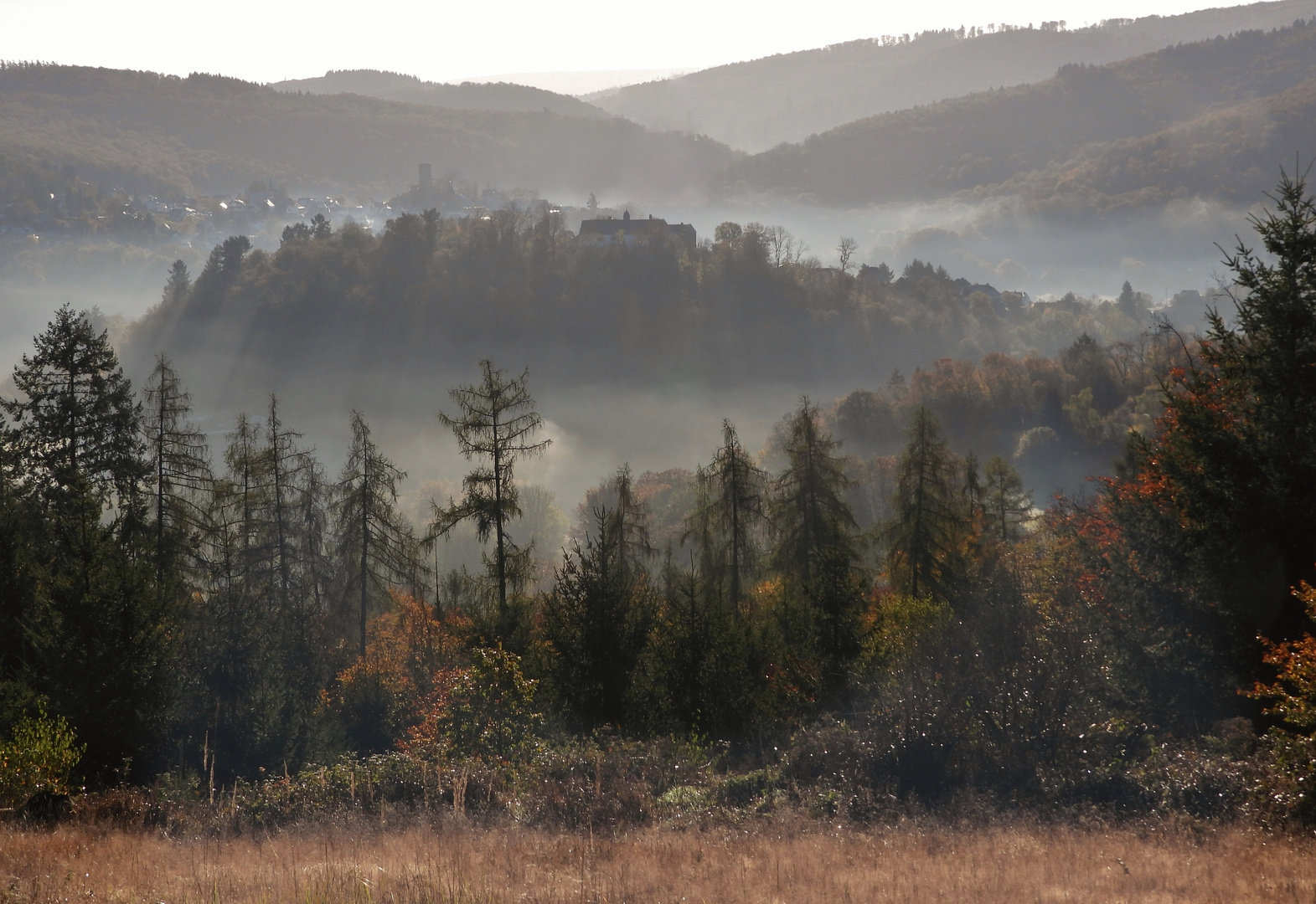 Landschaft: Alt-/Neuweilnau_01