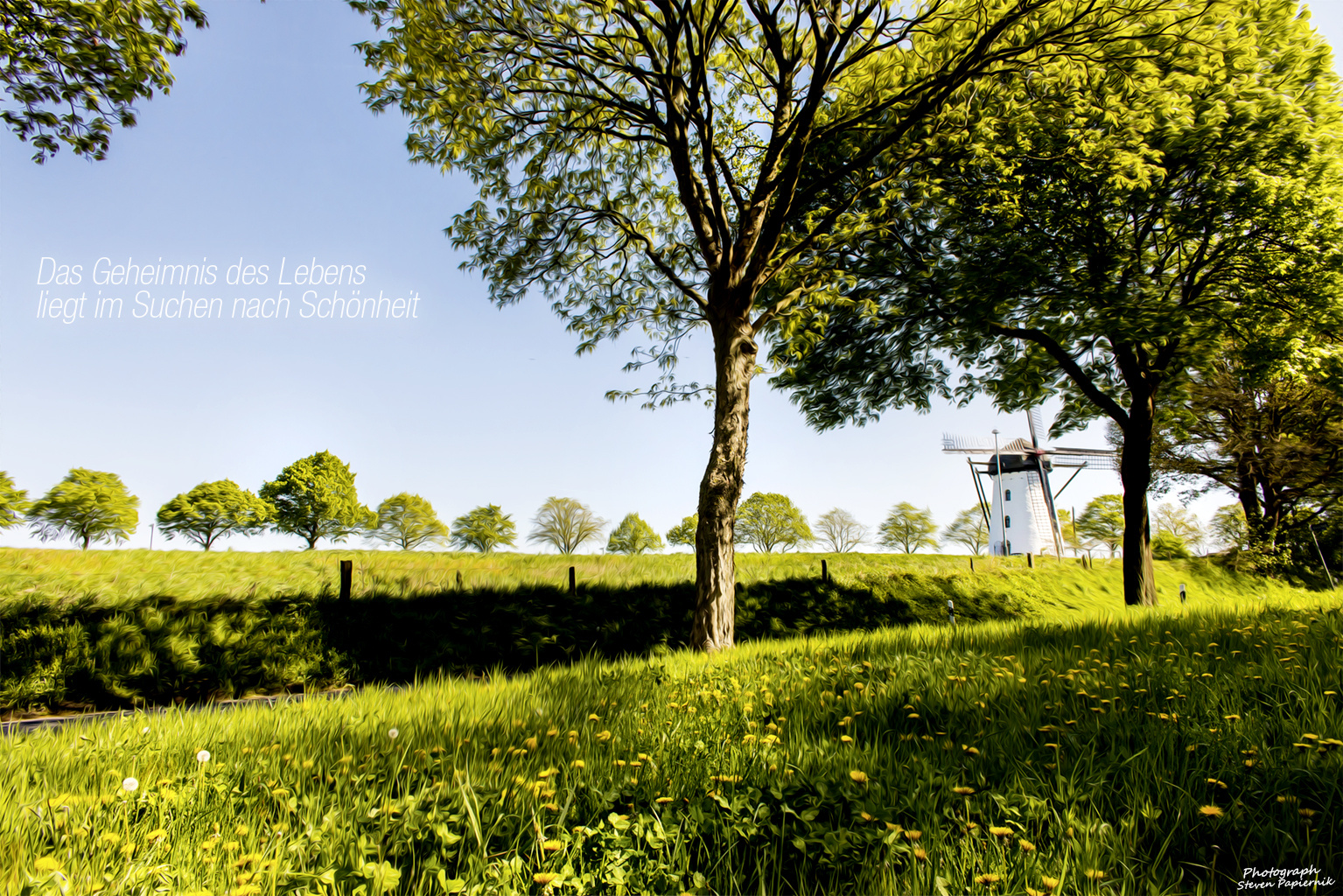 Landschaft - Alte Windmühle