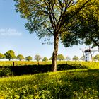 Landschaft - Alte Windmühle