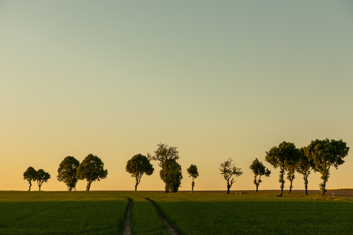 Landschaft am Abend