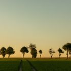 Landschaft am Abend