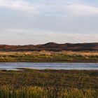 Landschaft am Abend in der Mongolei