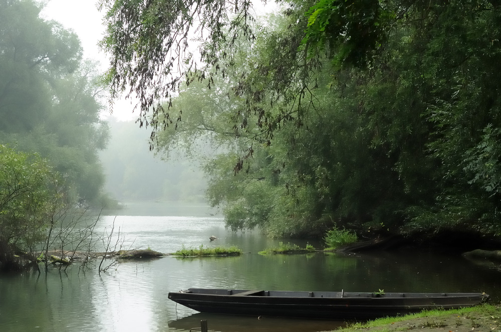 Landschaft am Altrhein