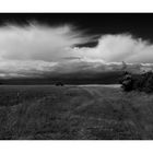 Landschaft am Bodden