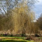 Landschaft am Bruchsee