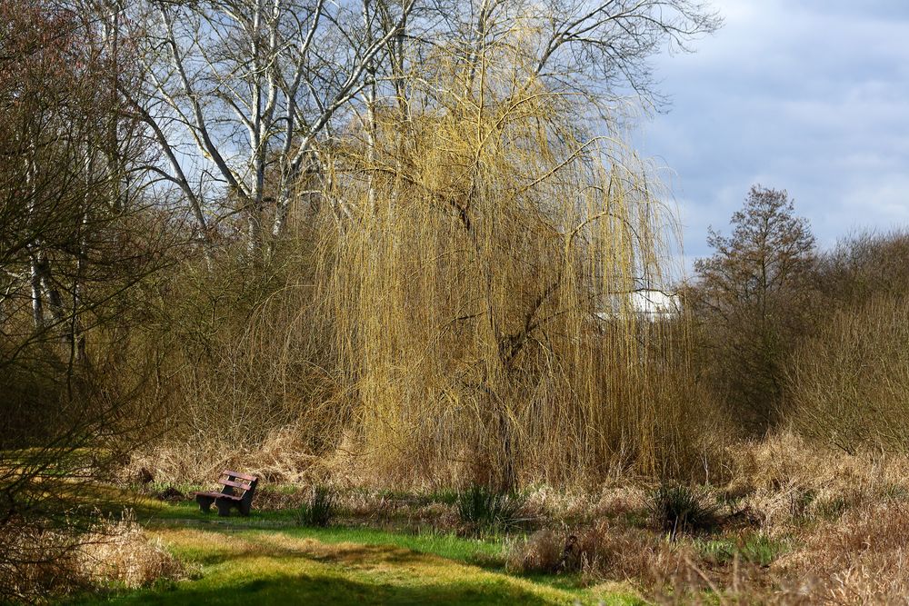 Landschaft am Bruchsee