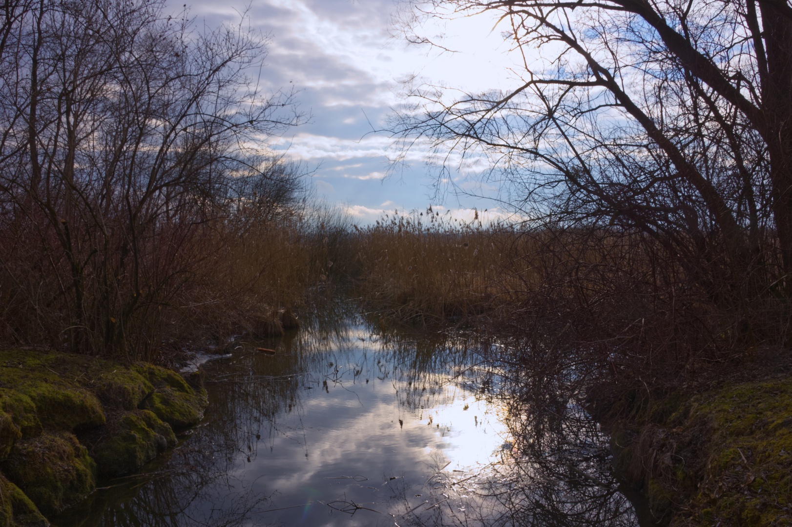 Landschaft am Chiemsee